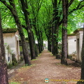 A very green path near the exit